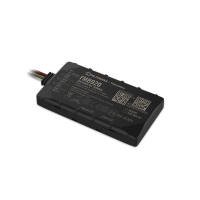 FMB920